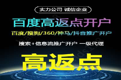 成功SEM推广代运营案例展示