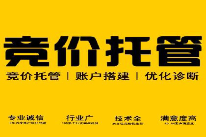 房地产行业SEM推广策略及成果展示